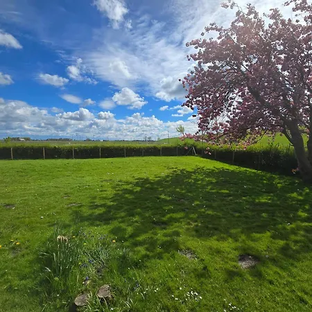 Deichkate * Friedrichskoog